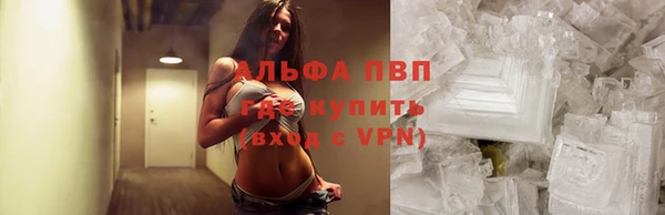 трава Чекалин