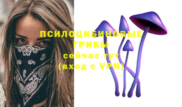гашишное масло Чегем