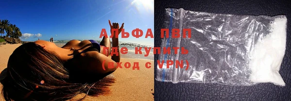 трава Чекалин