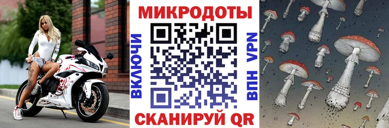 Псилоцибиновые грибы Psilocybe  хочу наркоту  Бикин 